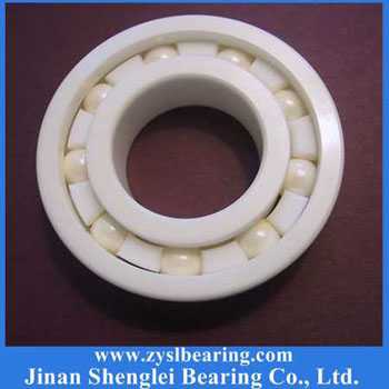 Ceramic bearings